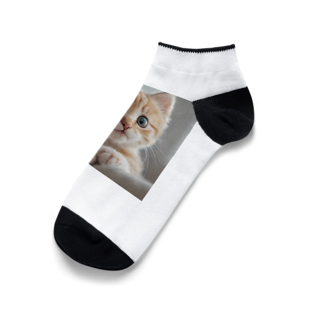 SaSuKeの癒される猫のイラスト Ankle Socks