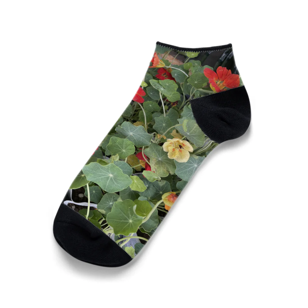 ★華霊KAREI★のお花畑 Ankle Socks