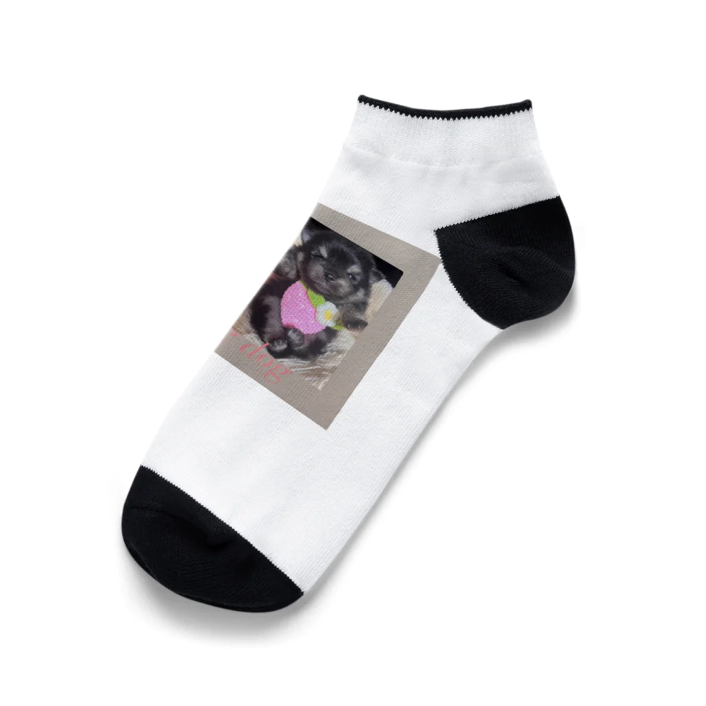 キャンドルドックの可愛いブラックタン兄弟 Ankle Socks