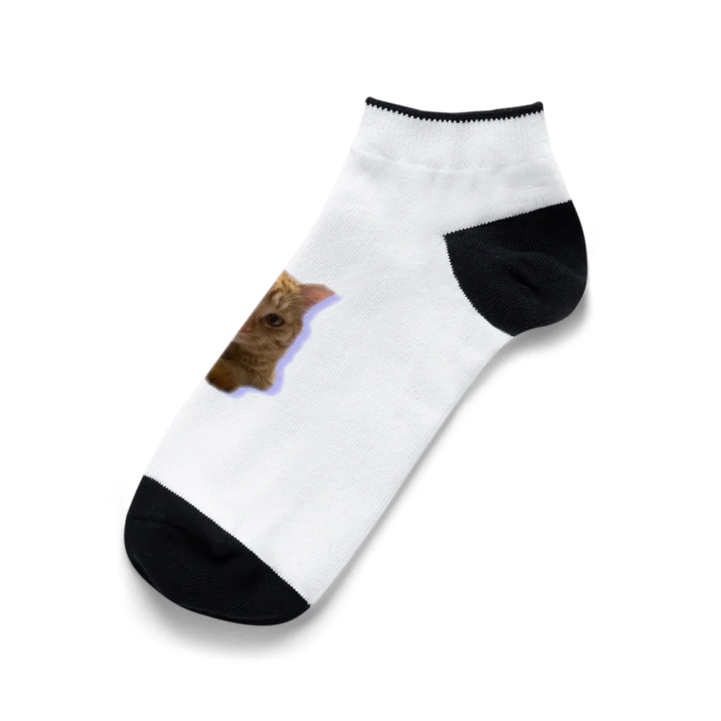 めんけ猫。の我が家の猫くんです。 Ankle Socks