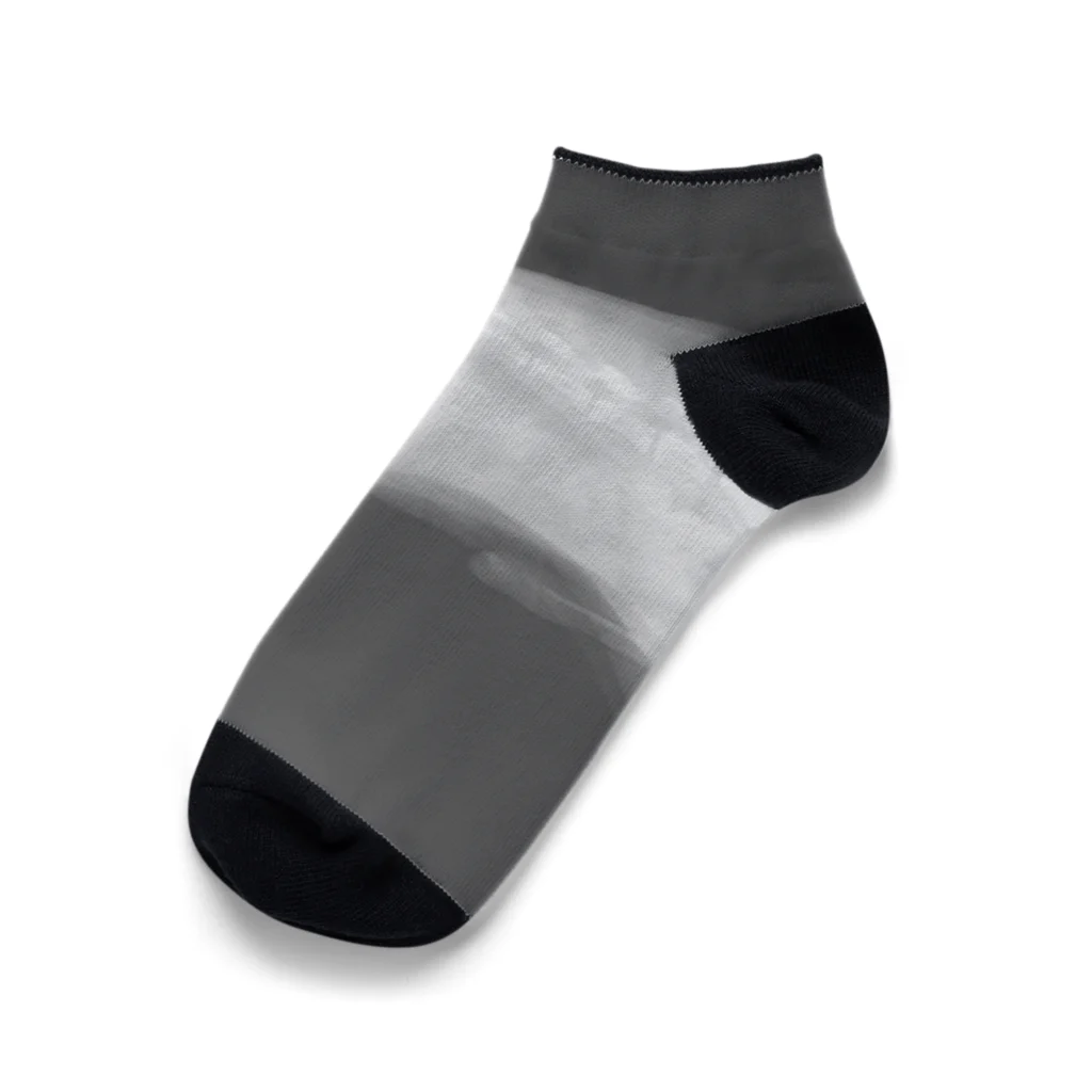 nireのいぬのレントゲン Ankle Socks