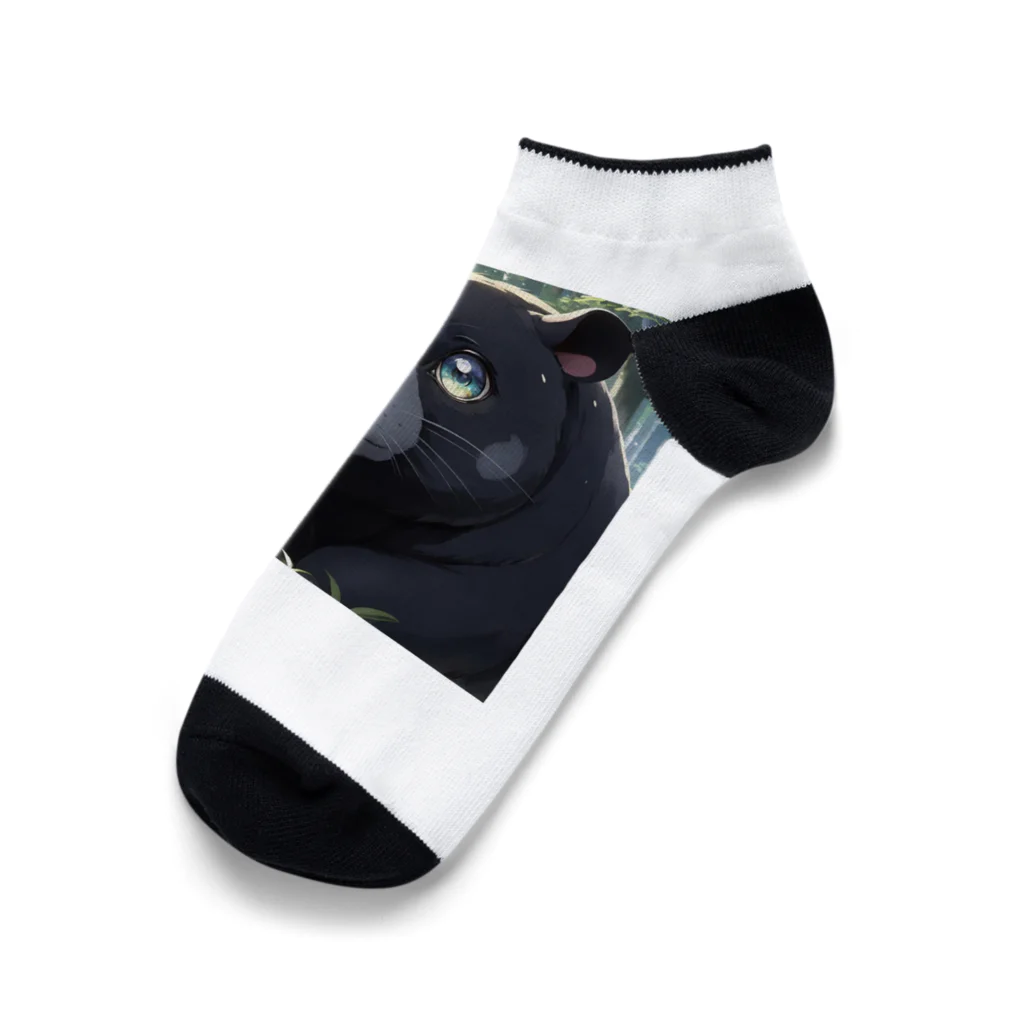 新参者のアズール Ankle Socks