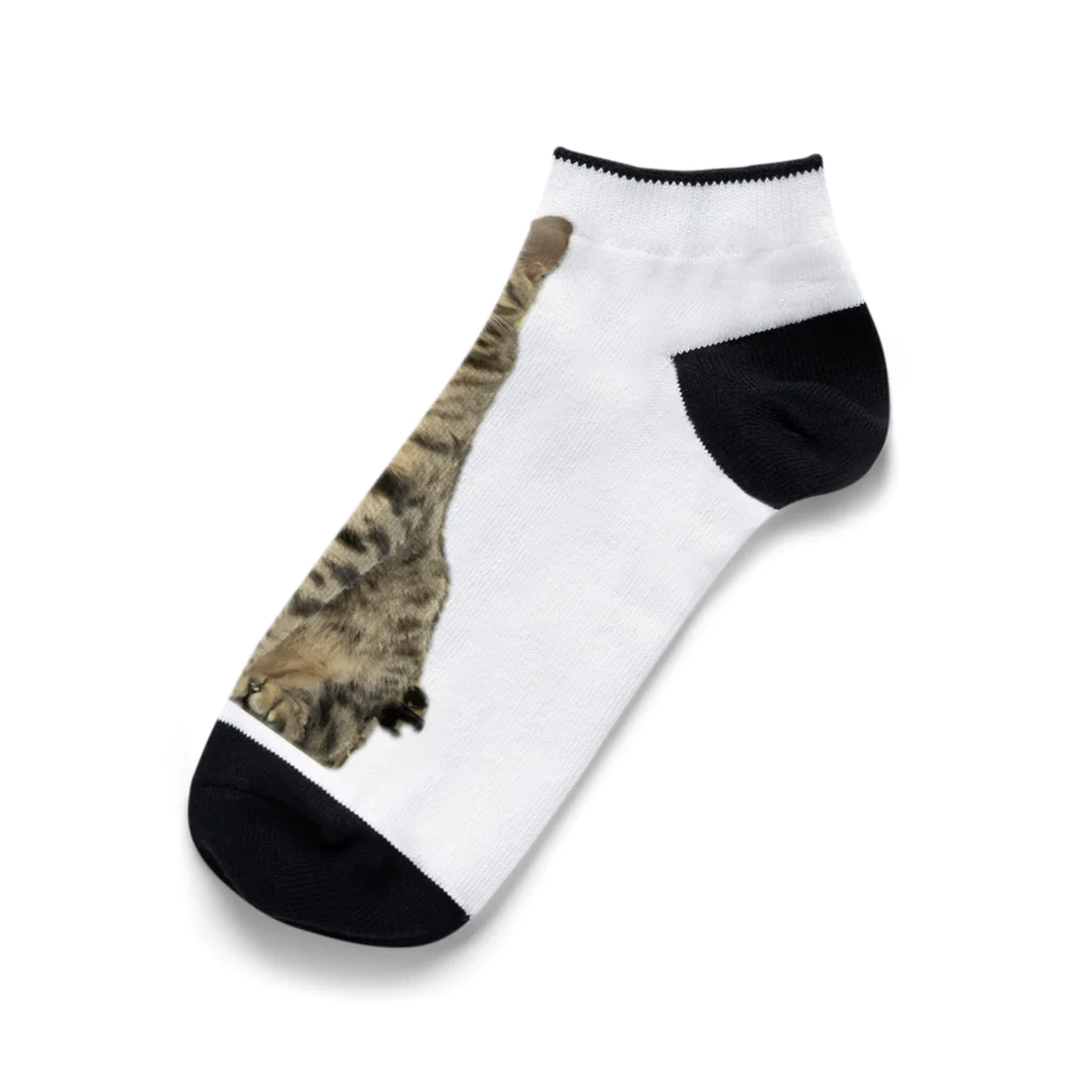 KYONDAのごにゃモデル Ankle Socks