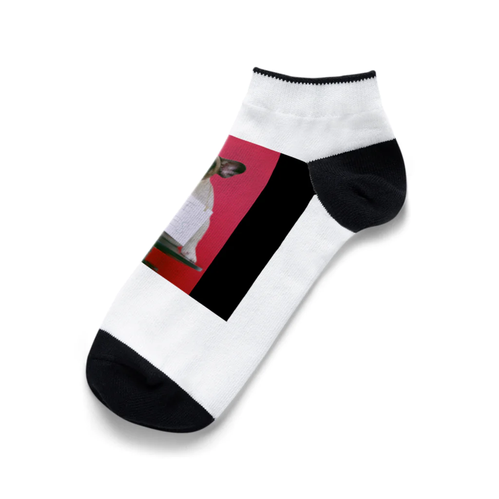 かもかもショップのSignboard　Dog Ankle Socks