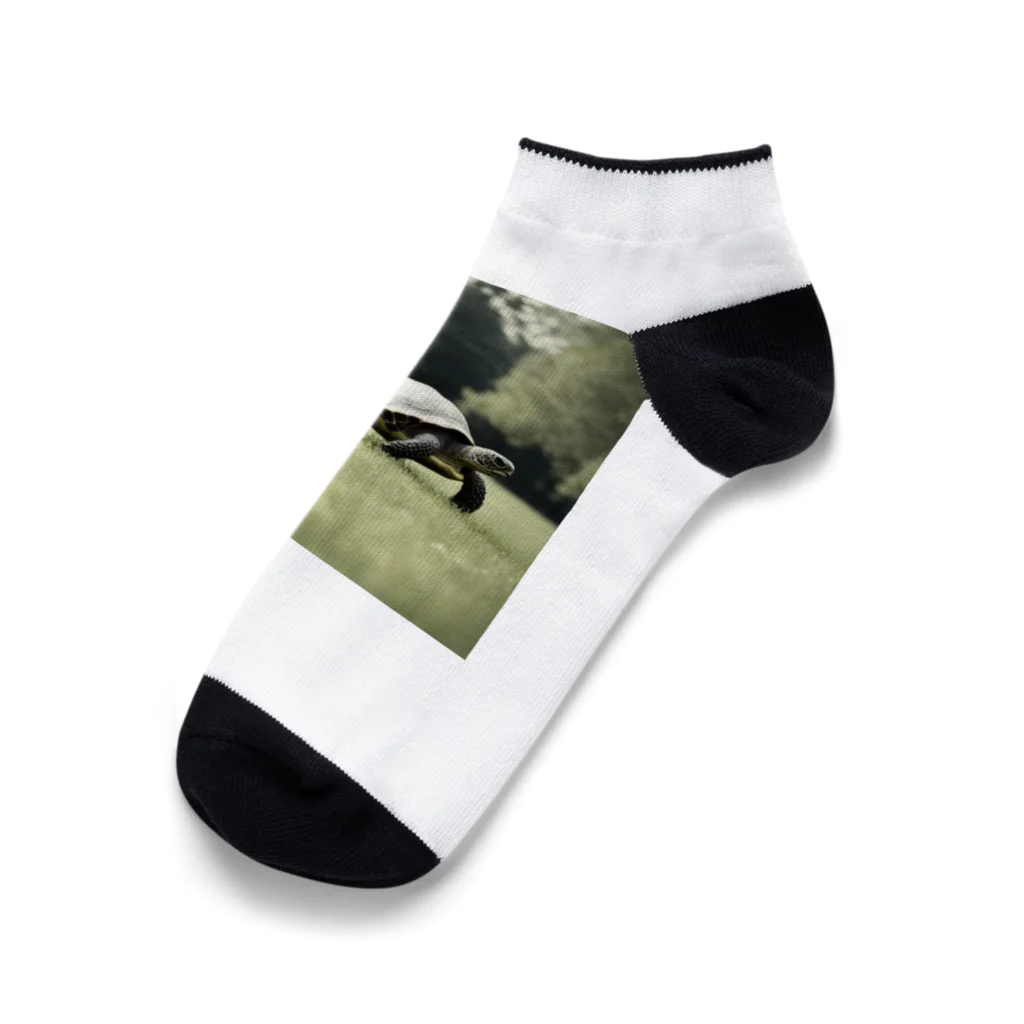 hinn-ketuの４、カメのお散歩 Ankle Socks