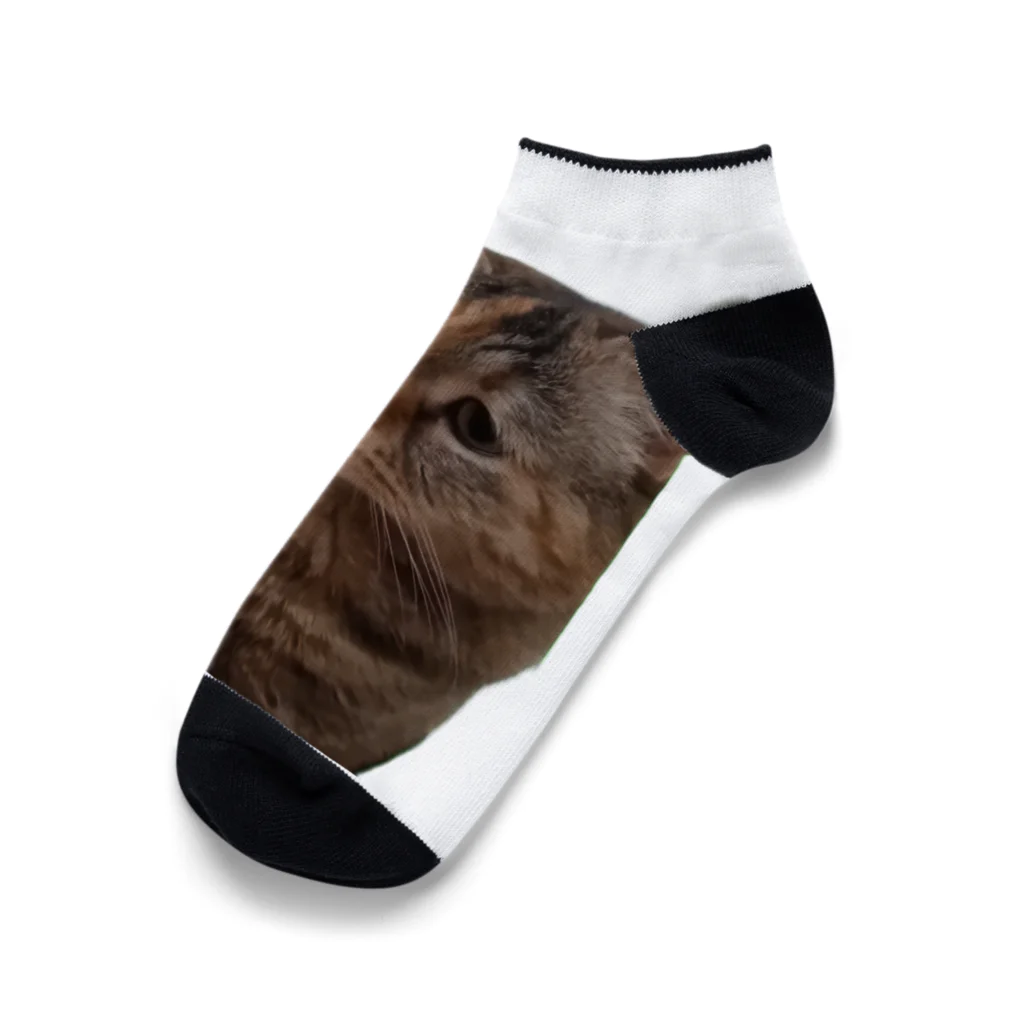 猫ミームグッズの【猫ミーム】叱られる猫 Ankle Socks