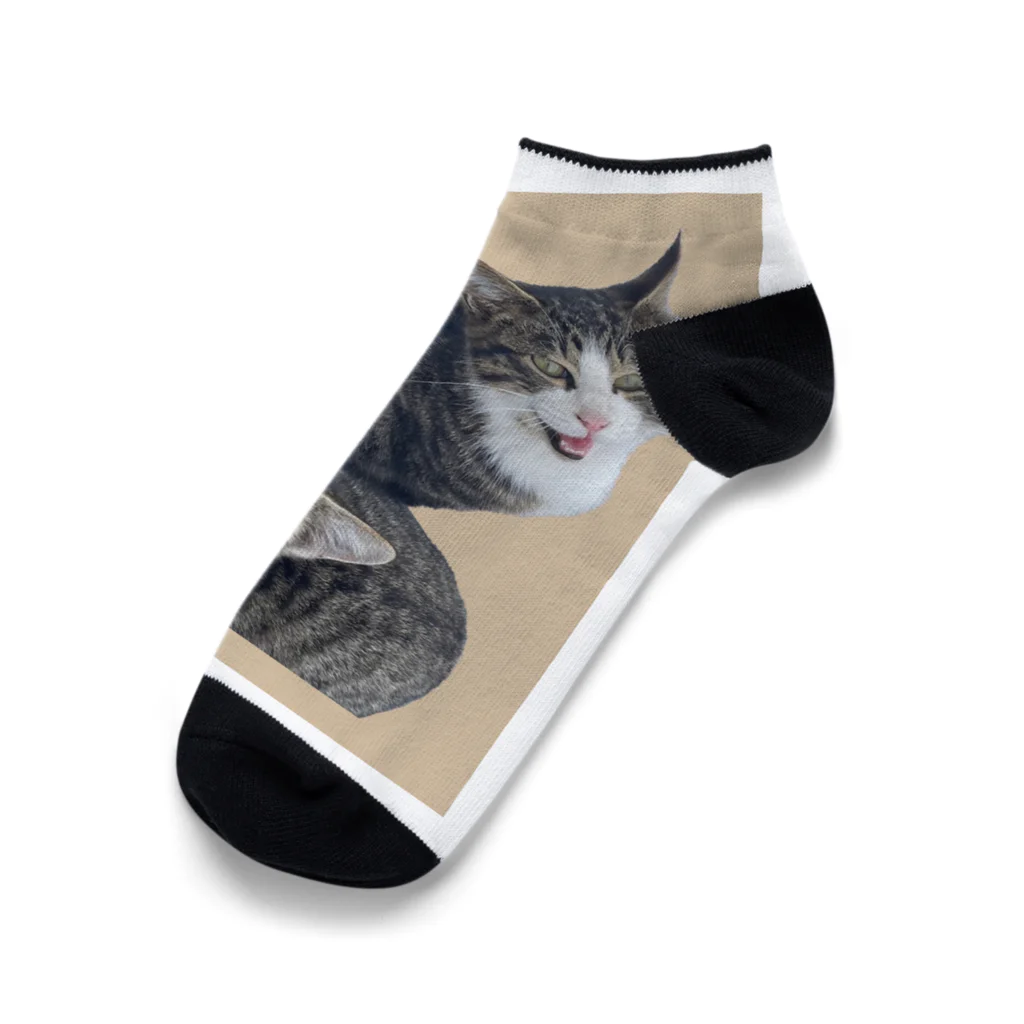 ビニールハウスの天使たちのこうきandレイ2 Ankle Socks