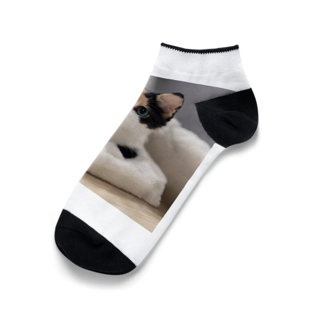 癒しリフレッシュの愛らしい子猫ちゃん Ankle Socks