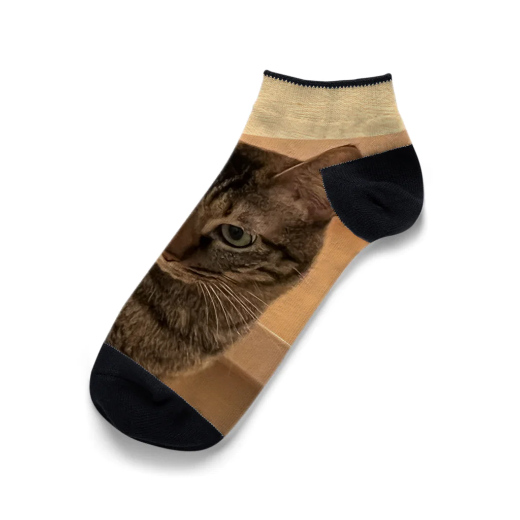 キキの黒猫ショップのツンデレキジトラ猫 Ankle Socks