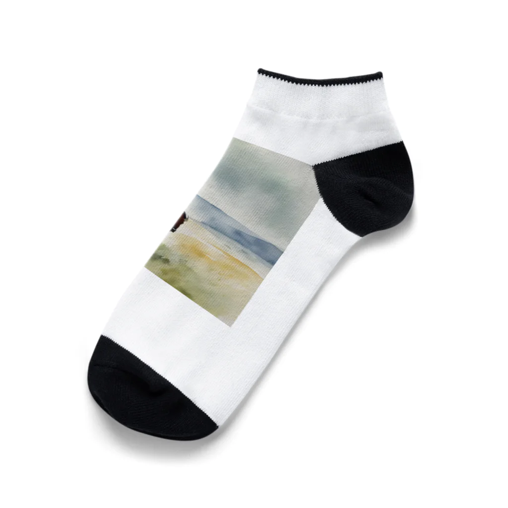 dakaroのバイソンさん Ankle Socks