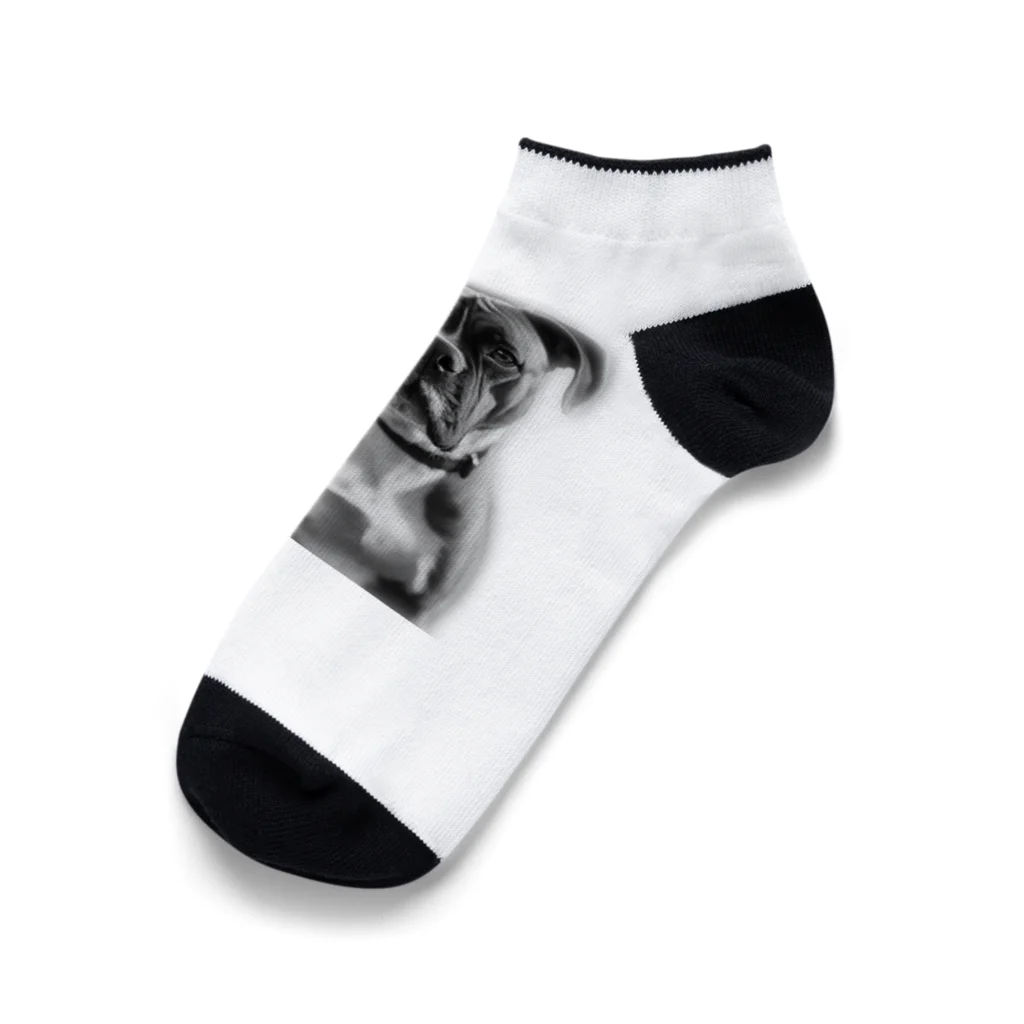 barbyGGGの超キュートなボクサー犬 Ankle Socks