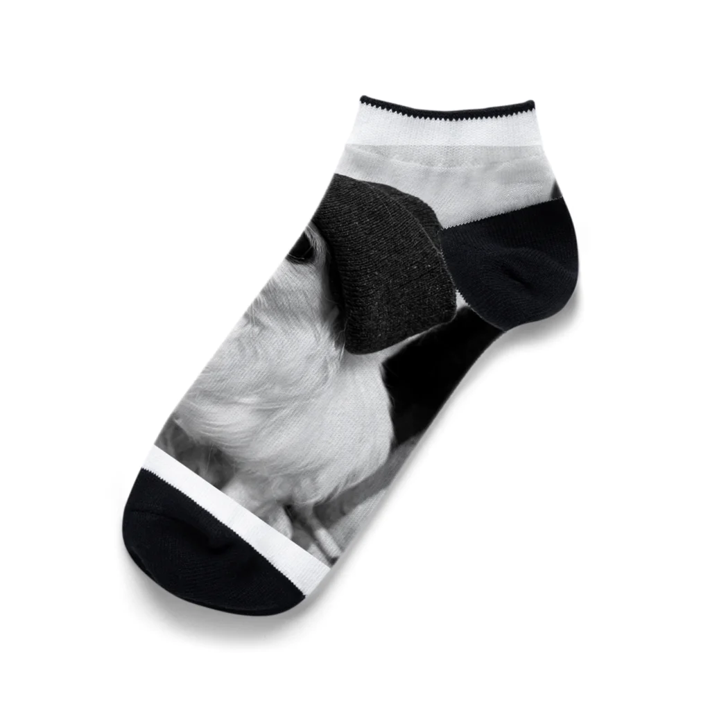 T_O-N_OのTONO-Knit Ankle Socks