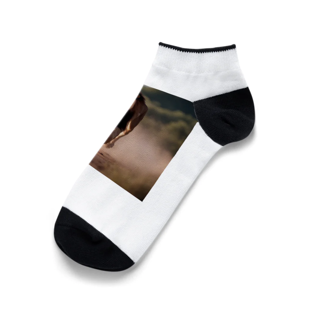 kei-001の走るライオン Ankle Socks