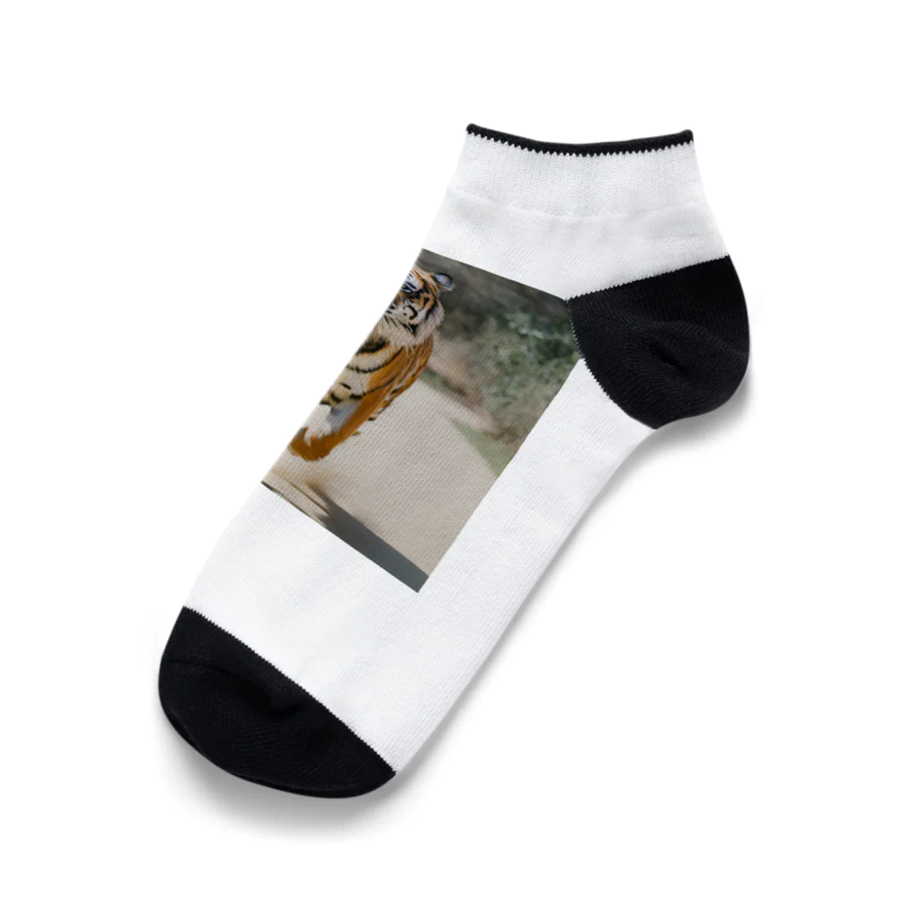 ★動物ショップ・kou2020★の虎4 Ankle Socks