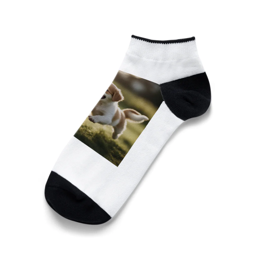 ryosamaの子犬 Ankle Socks