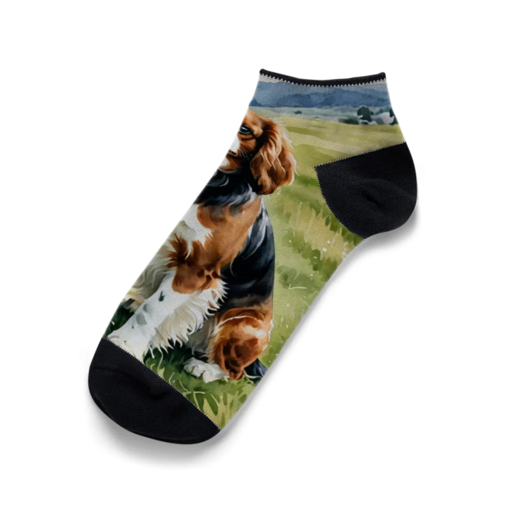 Animal Illustration shopのキャバリア・キング・チャールズ・スパニエル　Cavalier King Charles Spaniel　水彩画風 Ankle Socks