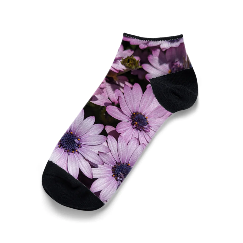 福猫山小屋の無邪気 Ankle Socks