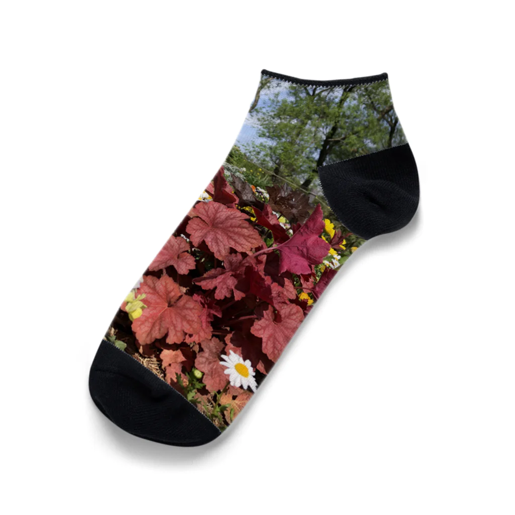 とらいぽふぉびあの春の花壇 Ankle Socks