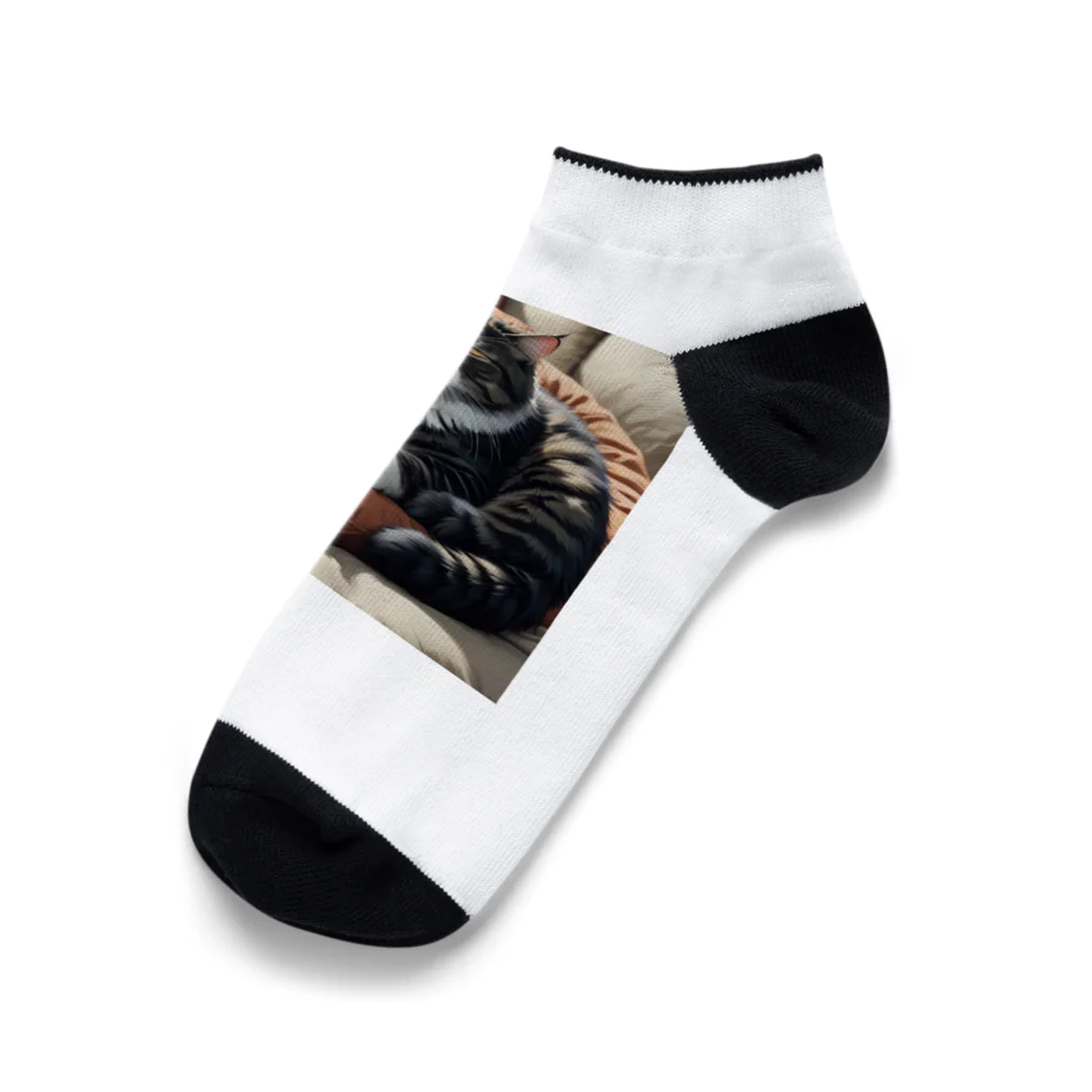 Ken17のソファのクッションの上で眠る猫 Ankle Socks