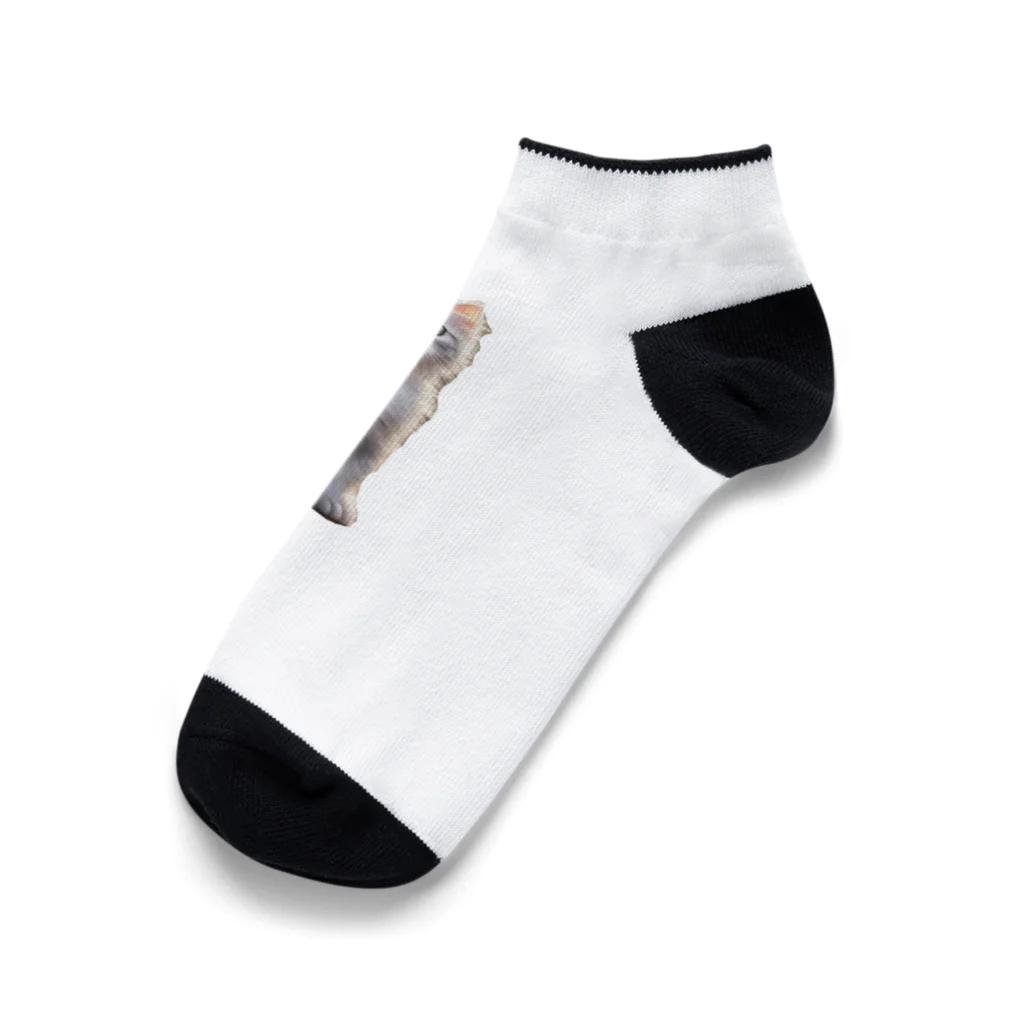 LuuuNのにゃんこ猫 Ankle Socks