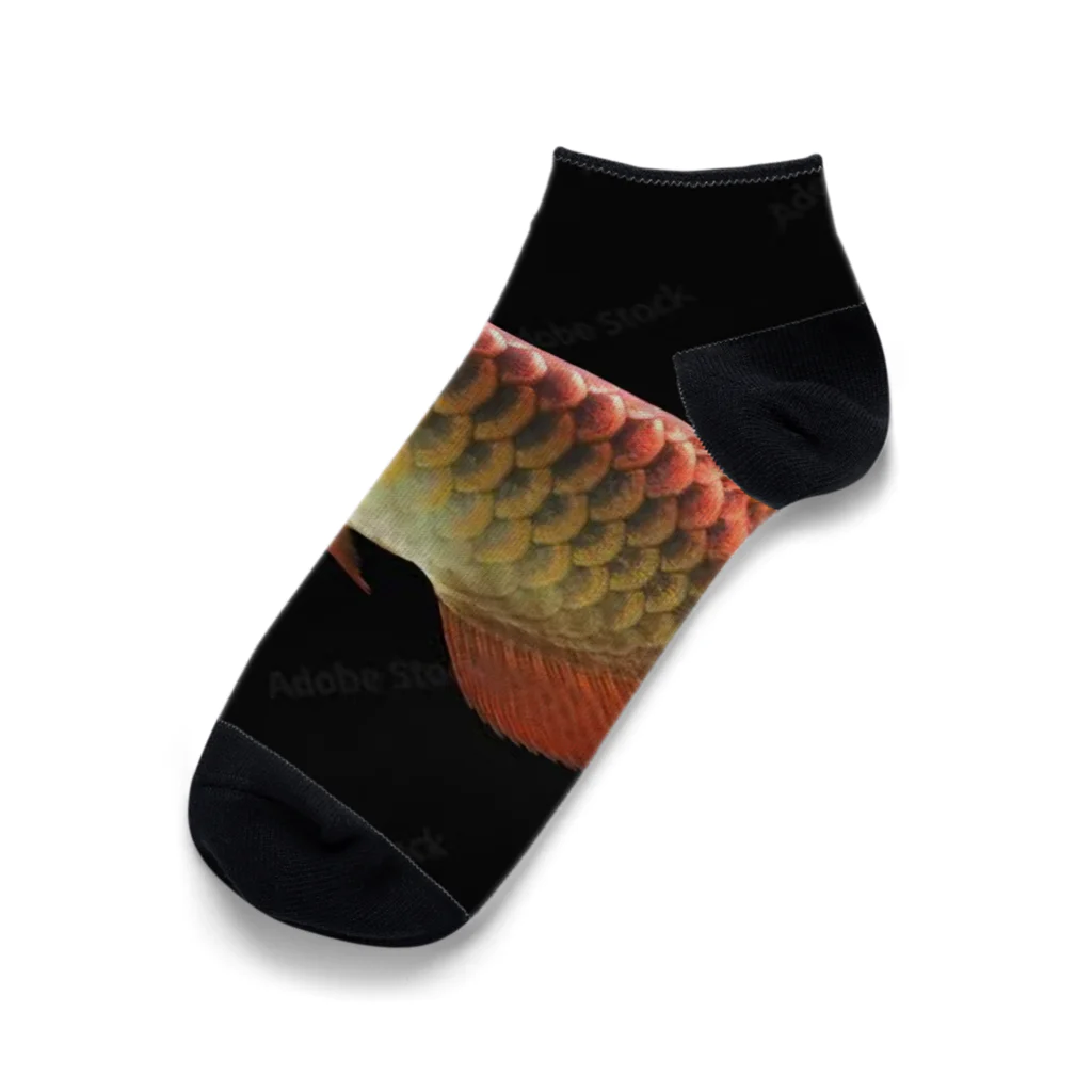 stockboxのアジアアロワナ グッズ Ankle Socks