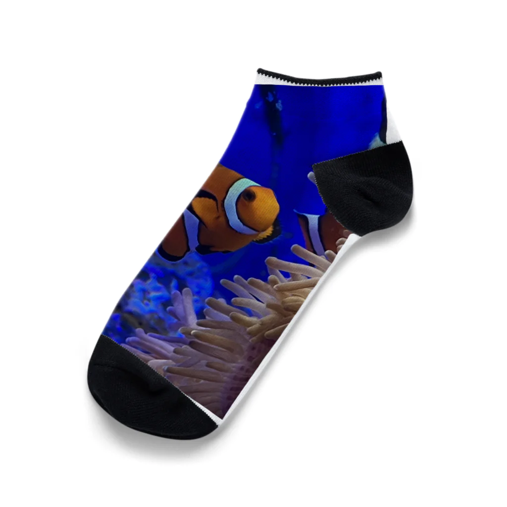 Ebiten3の可愛いクマノミ Ankle Socks