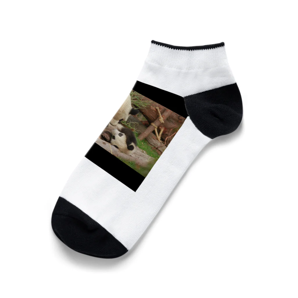 oshhinの親子パンダ Ankle Socks