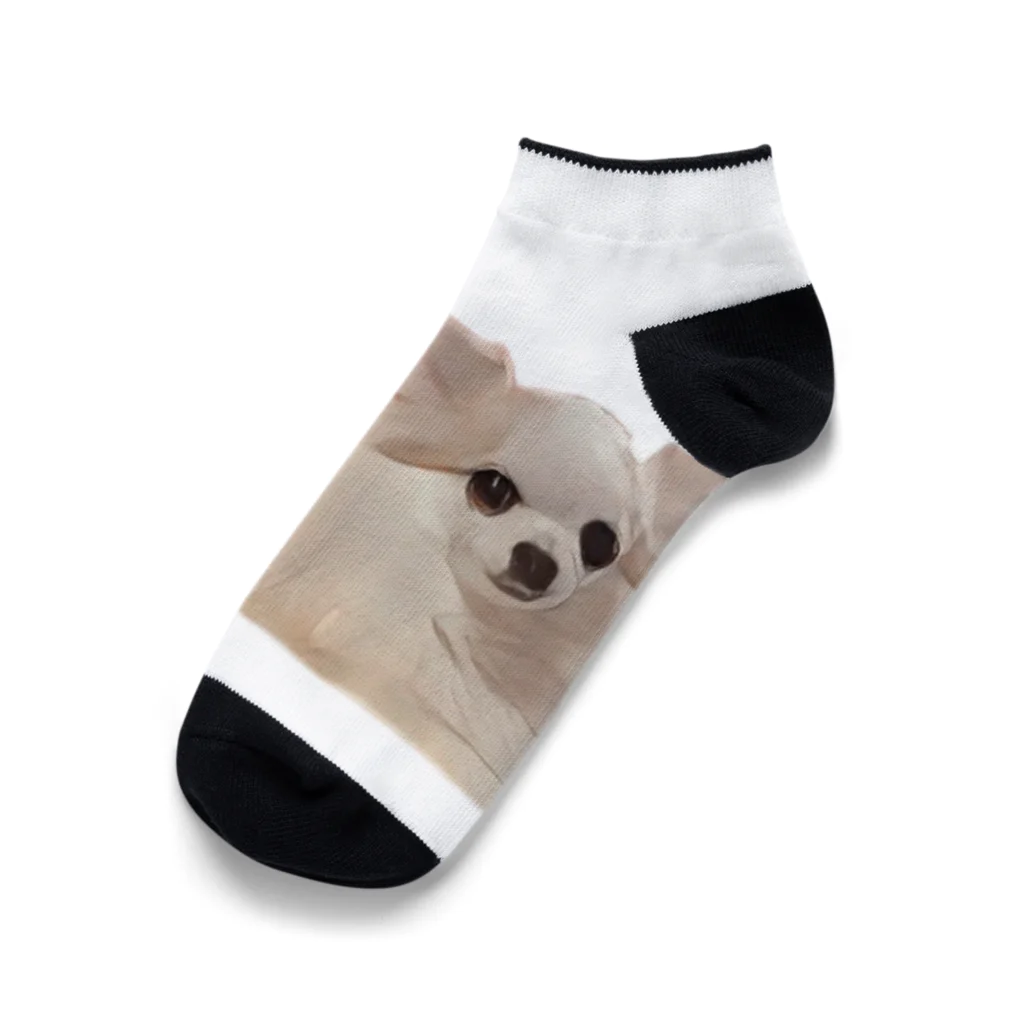 ライダーズの可愛い犬のアイテム Ankle Socks