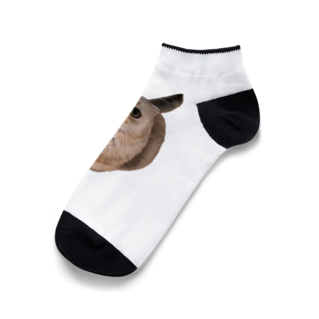 いらっしゃいませのフクロウみたいな猫 Ankle Socks