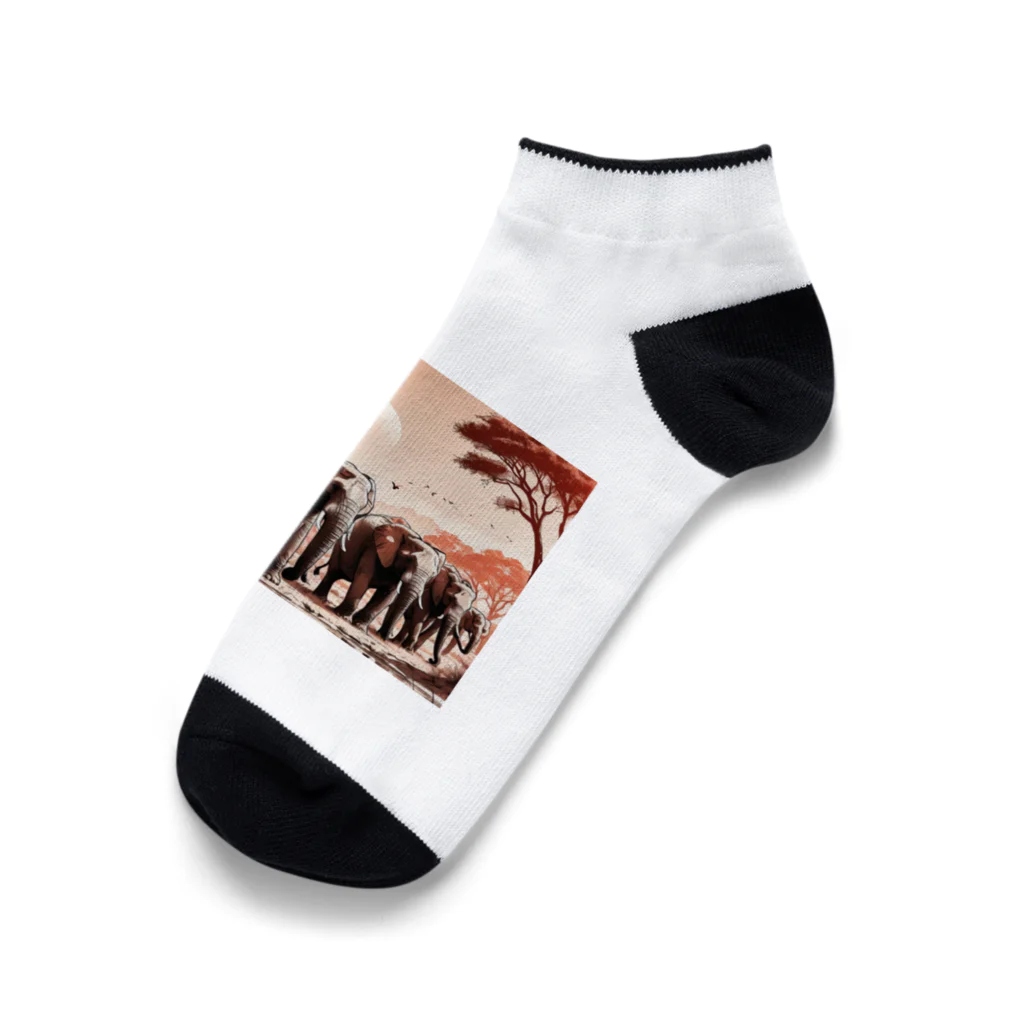 Happy_Sunny_Daysの悠久の歩み Ankle Socks