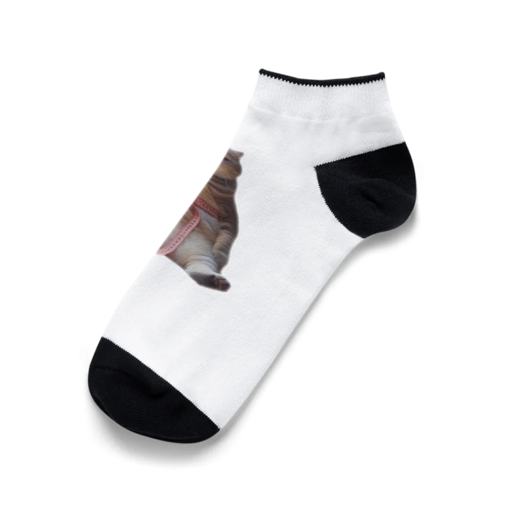 zatto_00のダイエット中の猫 Ankle Socks