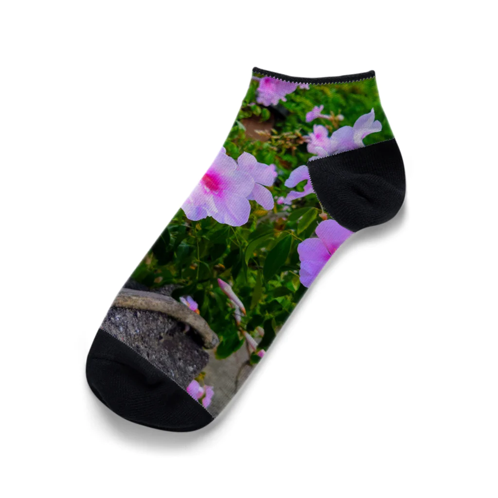 終わらない夢🌈の実写シリーズ【初夏の美しい花🌸】 Ankle Socks