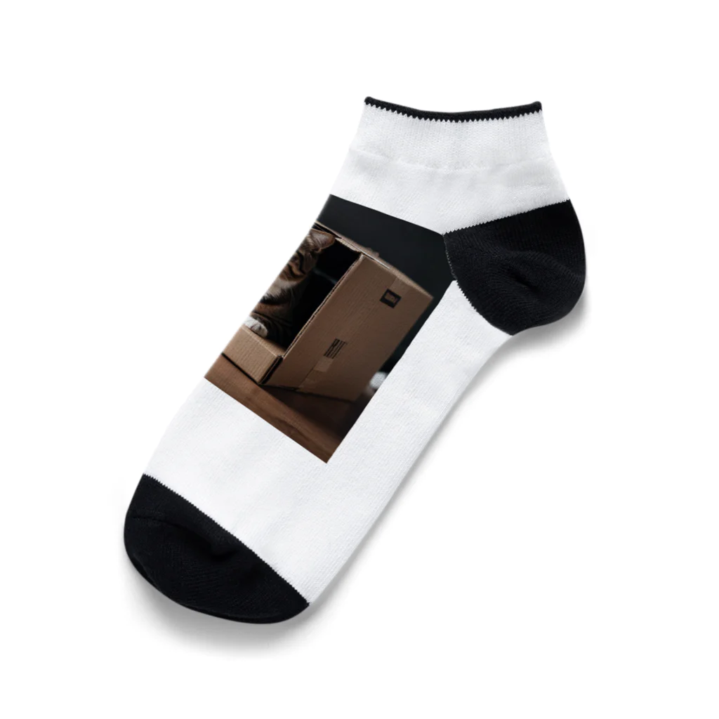 jaguar3のダンボール猫 Ankle Socks