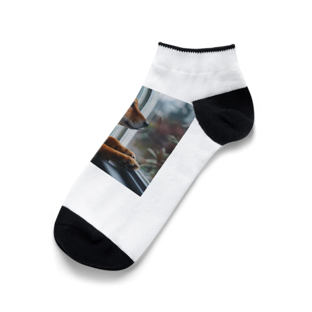 AQUAMETAVERSEの可愛い柴犬　1434 Ankle Socks