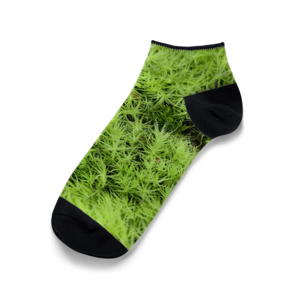 アトリエWindwingの苔グッズ（タマゴケ玉つき） Ankle Socks