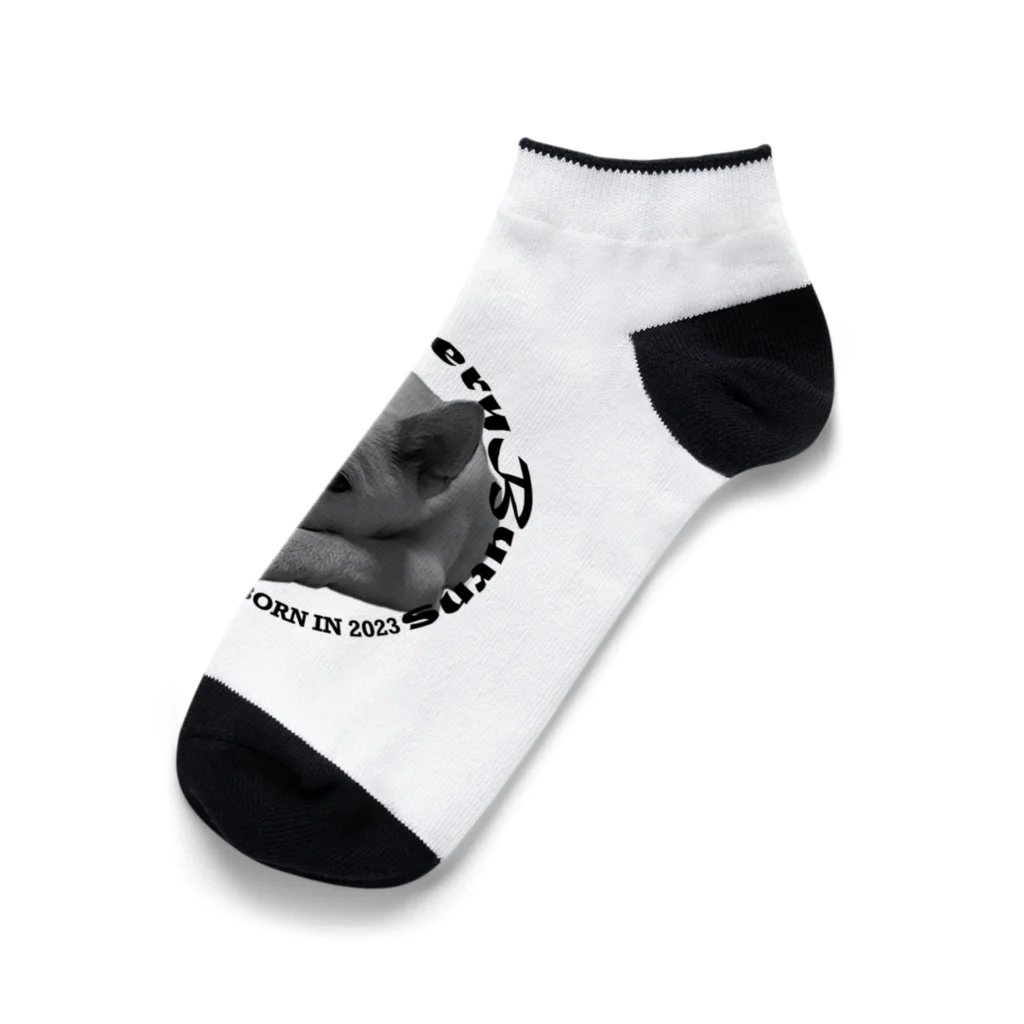 montgomeのはじめましてモンゴメです Ankle Socks