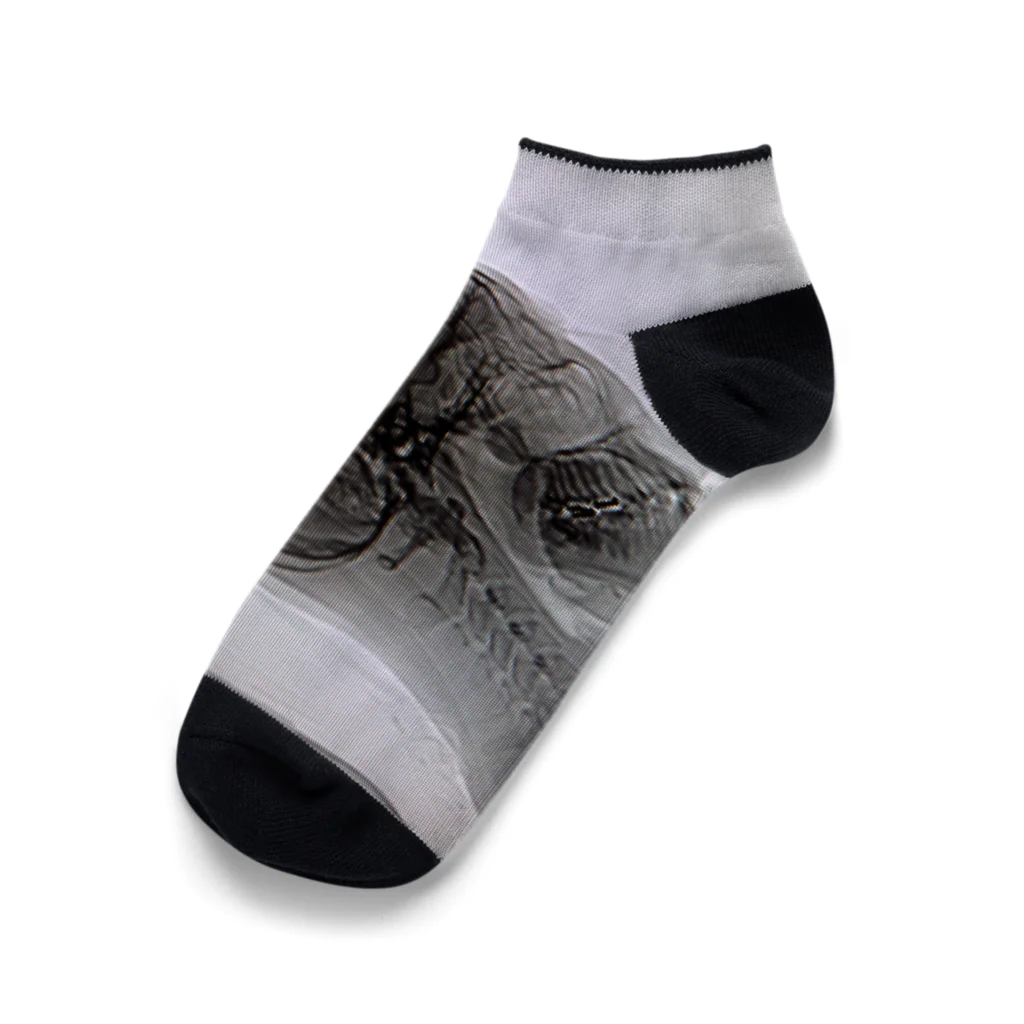 S@の超個人情報 Ankle Socks