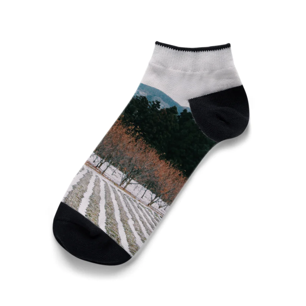 Sanami 紗　のlandscape No.5 Ankle Socks