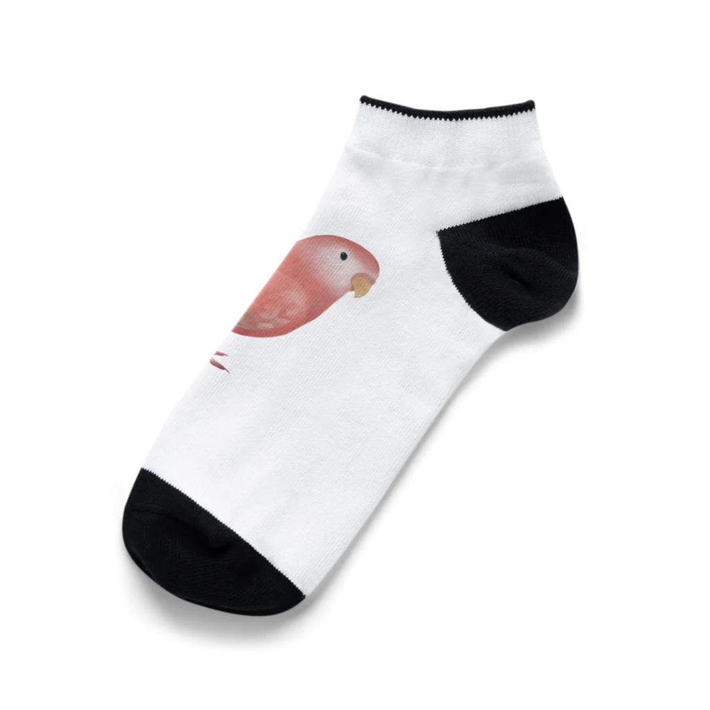 まめるりはことりのアキクサインコ　ピンク【まめるりはことり】 Ankle Socks