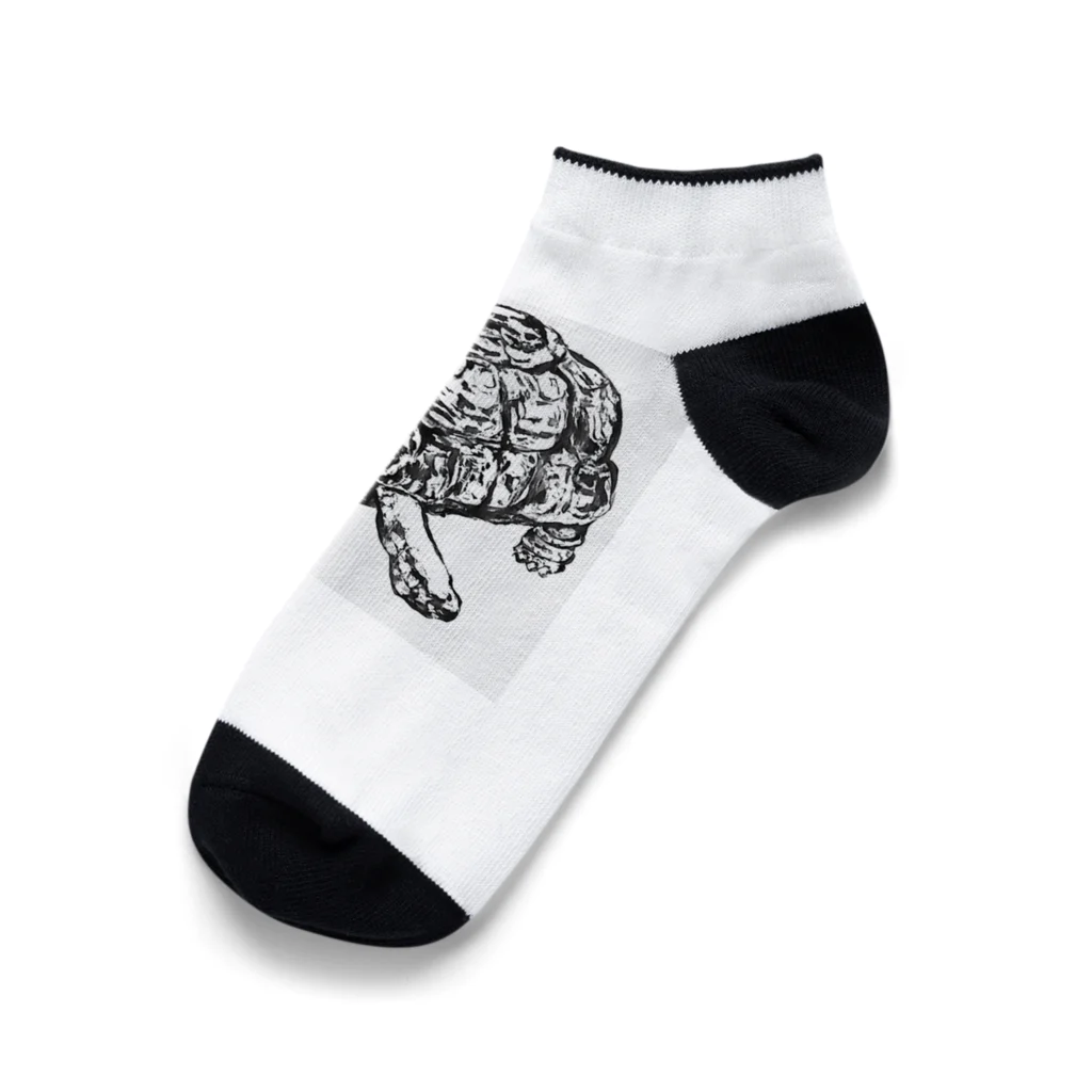 ■マネっぴ■のヒョウモンガメはリクガメです。モノクロ Ankle Socks