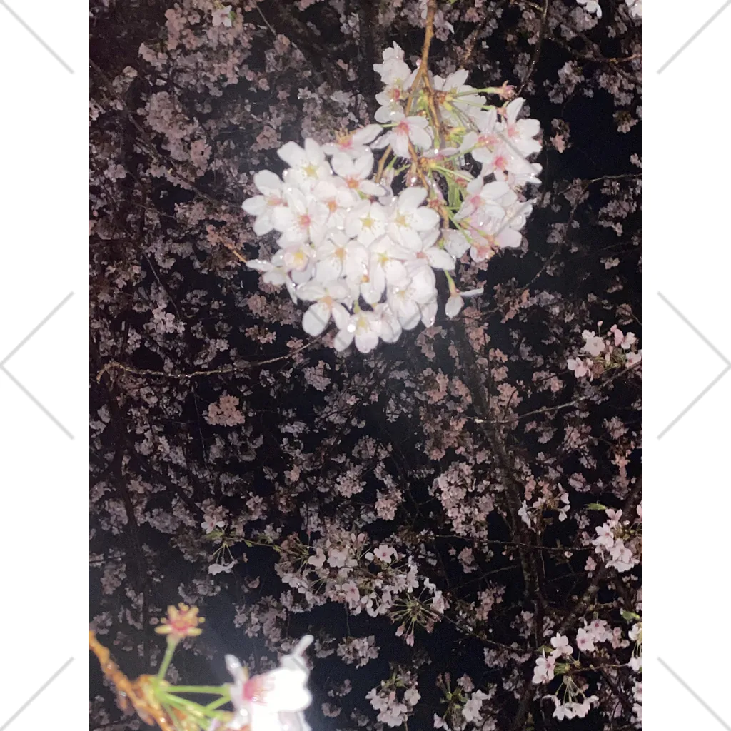 萌中毒の桜 くるぶしソックス