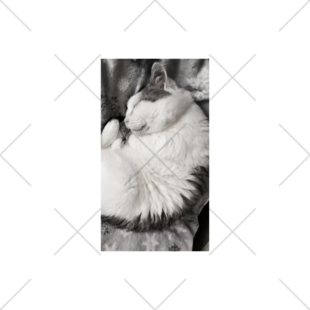 KAZU SHOPの可愛い猫のお昼寝　癒し くるぶしソックス