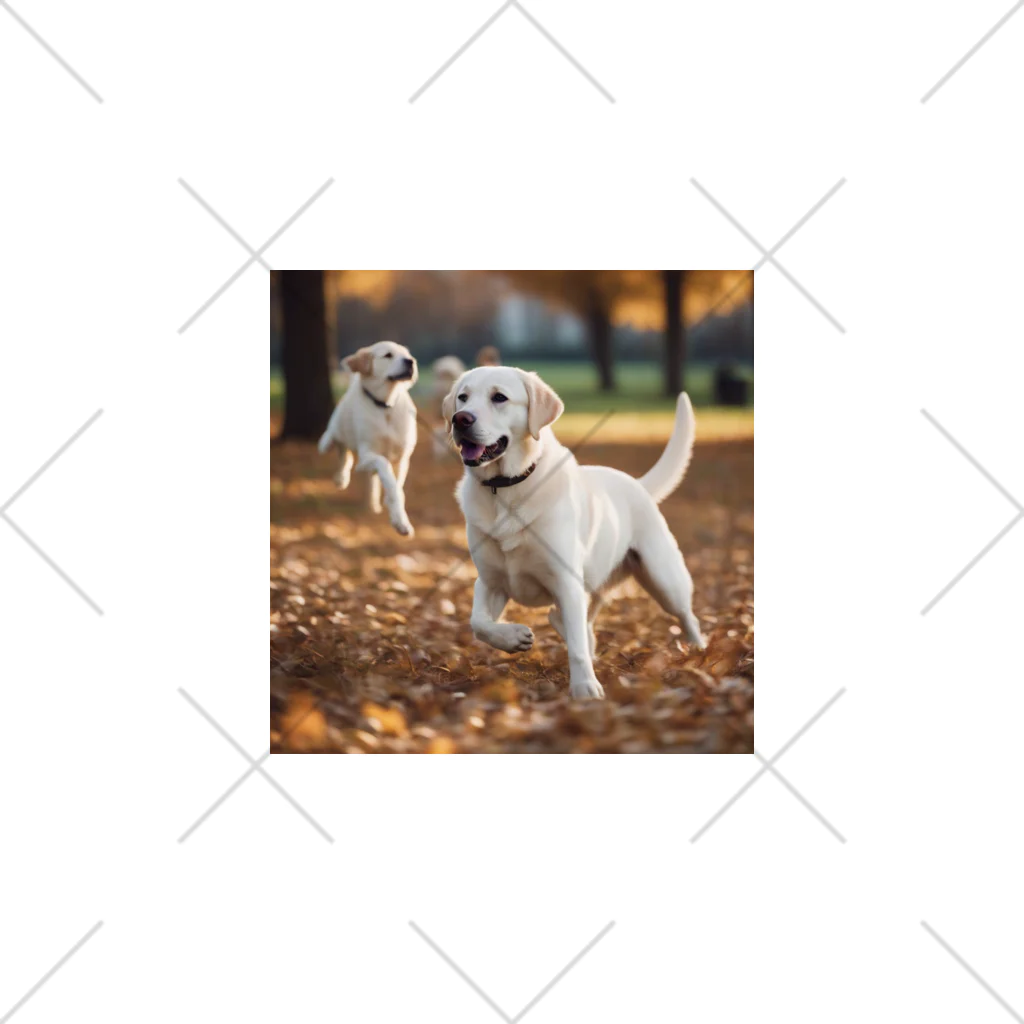 ラブラボの公園で他の犬と遊んでいるラブラドール・レトリーバー 白 犬 ワンちゃん 可愛い ペット 癒やし Ankle Socks
