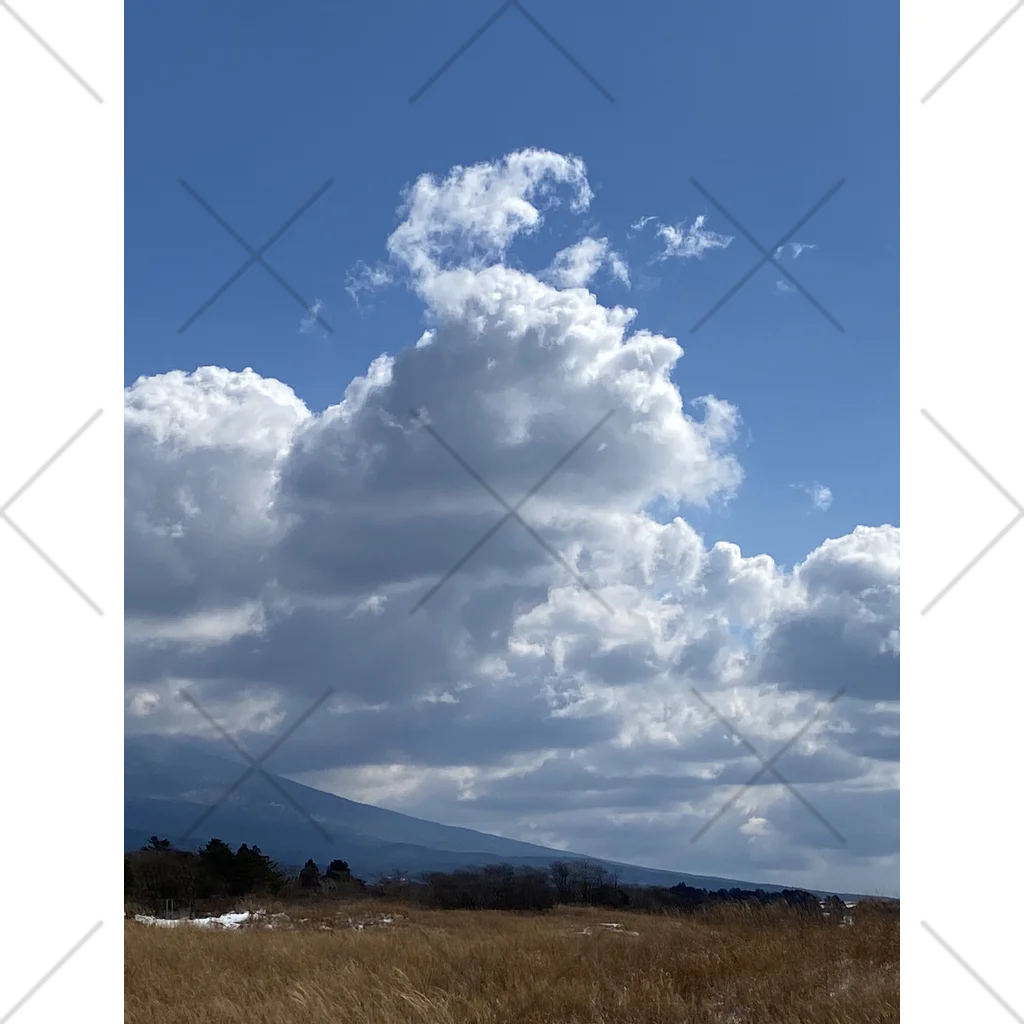 きょ✿˘︶˘✿ .｡.:* ♬*゜の富士山を囲むふわふわな雲 くるぶしソックス