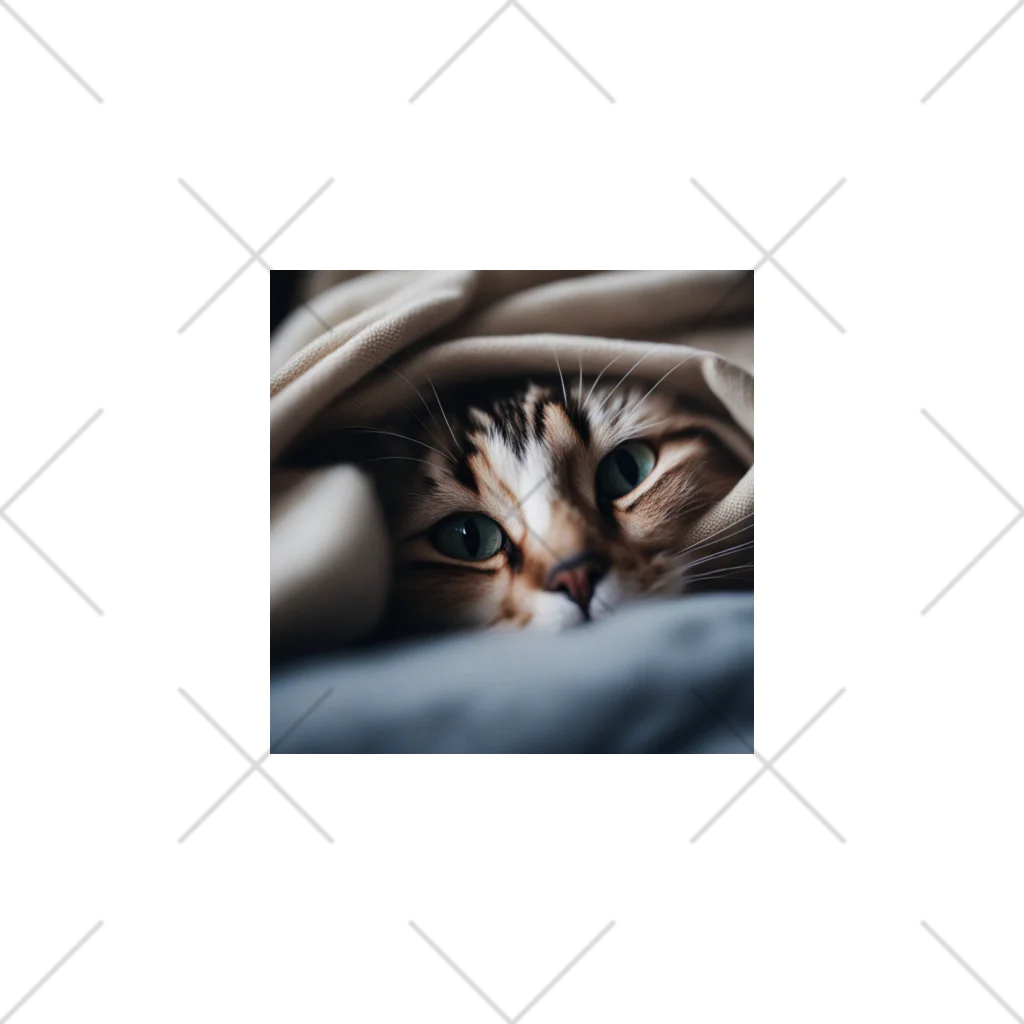 feliceの毛布の下に隠れている猫 くるぶしソックス