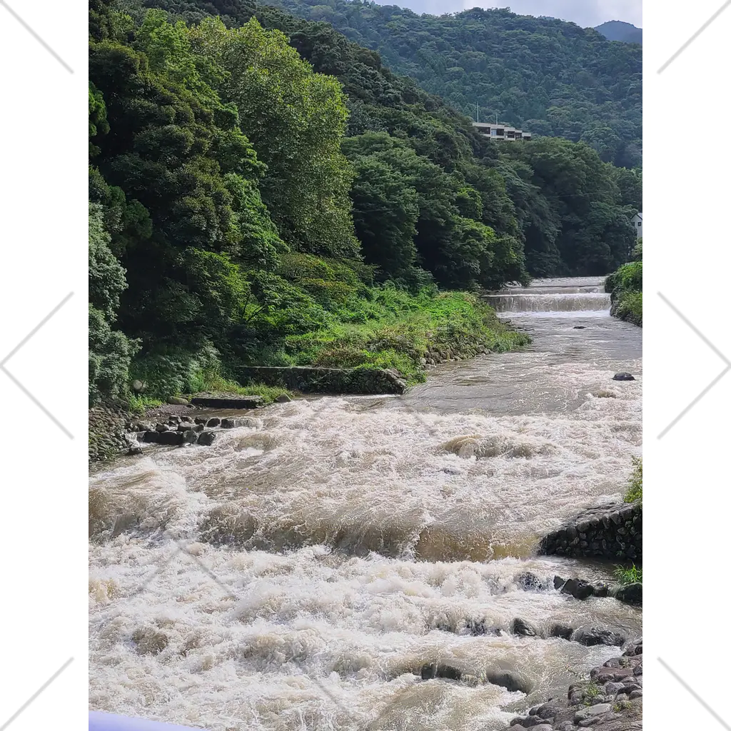 TACOIKAのHakone　RainyDay くるぶしソックス