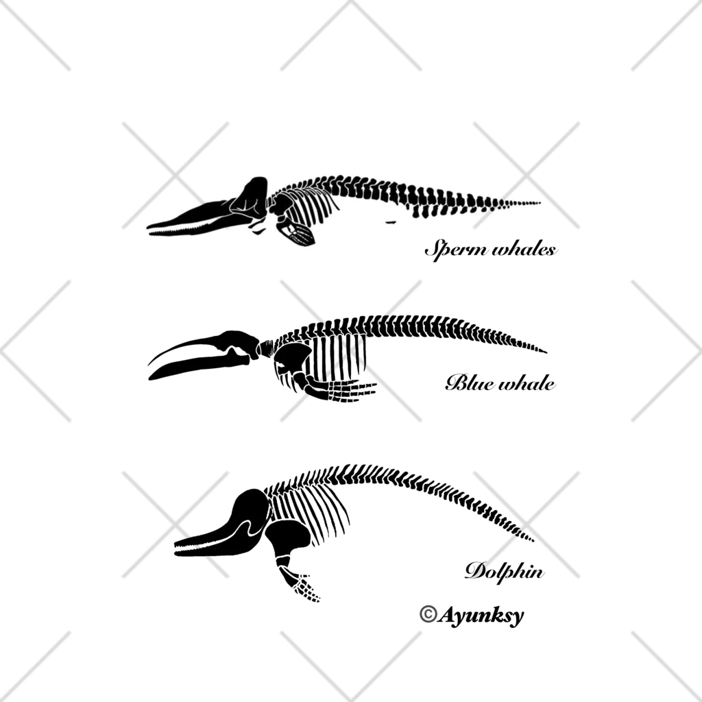 ayunksyの骨格標本｜トリプル Ankle Socks