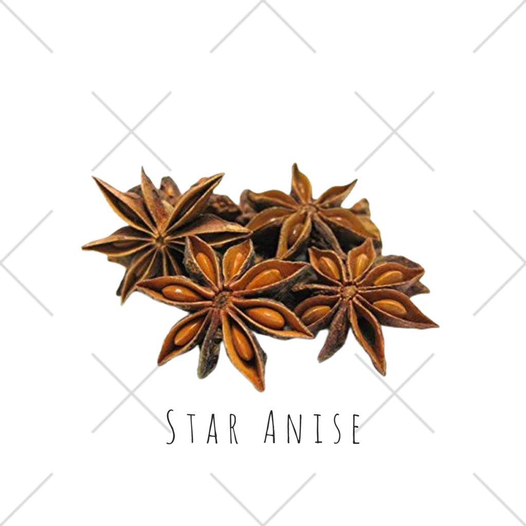 テイク コーポレーションのSTAR ANISE くるぶしソックス