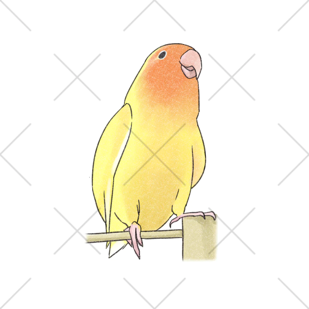 まめるりはことりの得意げ可愛い　コザクラインコちゃん【まめるりはことり】 くるぶしソックス