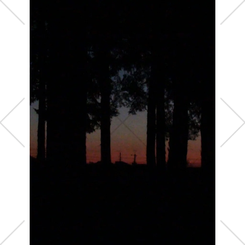 カメレオン音楽家の色々創作物ショップの森で見る朝焼け くるぶしソックス